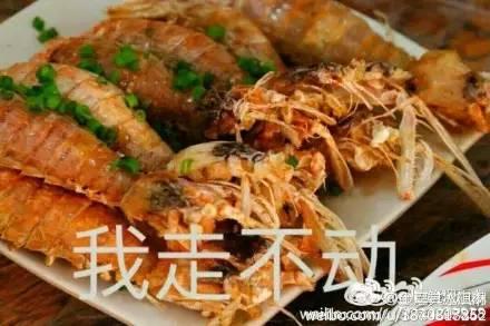 有关于皮皮虾的表情包，一大波皮皮虾表情包已上线