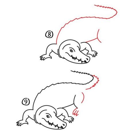 鳄鱼的简单画法，简笔画：教你如何画鳄鱼