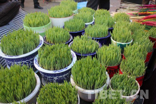 藏历年的来历，关于藏历新年