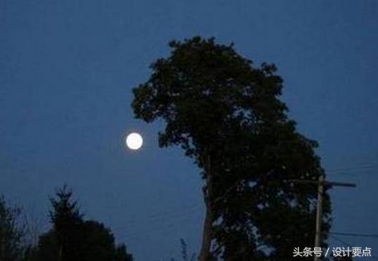 我内心毫无波澜，但其实我的内心毫无波澜