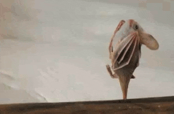 我内心毫无波澜，但其实我的内心毫无波澜