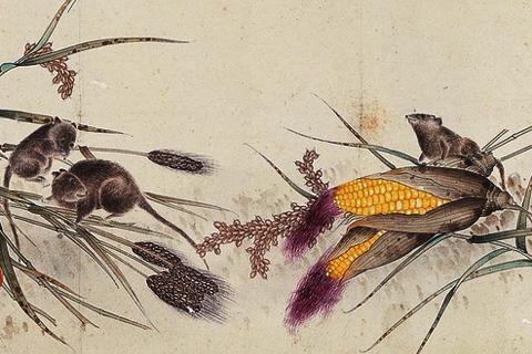 十二生肖的年份及运程，十二生肖各自属相命运