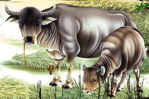 十二生肖的年份及运程，十二生肖各自属相命运