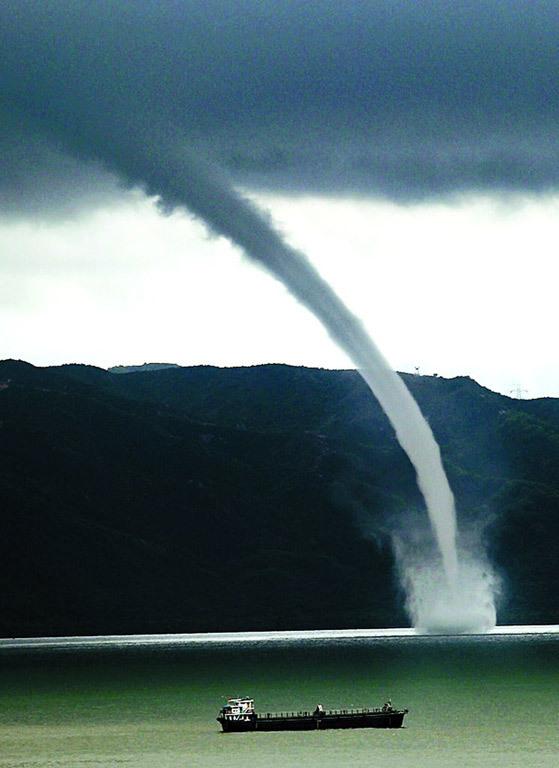 世界上有蛟龙这个动物吗，1934年辽宁营口坠龙事件中的“龙”
