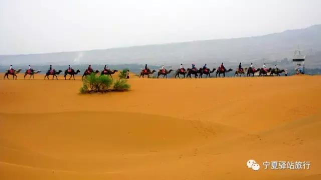 五一沙坡头旅游攻略，沙漠迷宫大冒险，有胆你就来