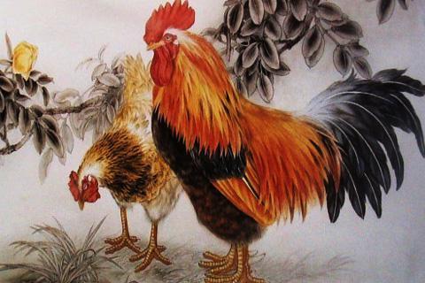 十二生肖的年份及运程，十二生肖各自属相命运