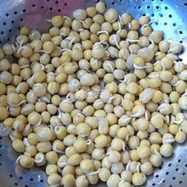 蔬菜菜谱大全家常菜教程，菜谱合集春来到