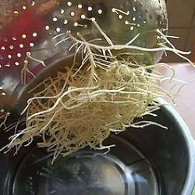 蔬菜菜谱大全家常菜教程，菜谱合集春来到