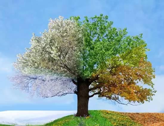 september柴可夫斯基，柴可夫斯基四季