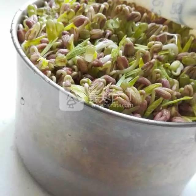 蔬菜菜谱大全家常菜教程，菜谱合集春来到