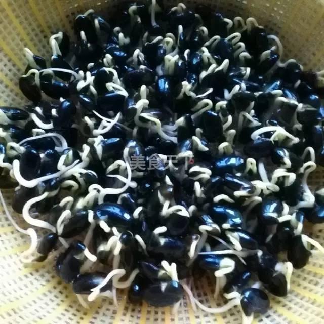 蔬菜菜谱大全家常菜教程，菜谱合集春来到