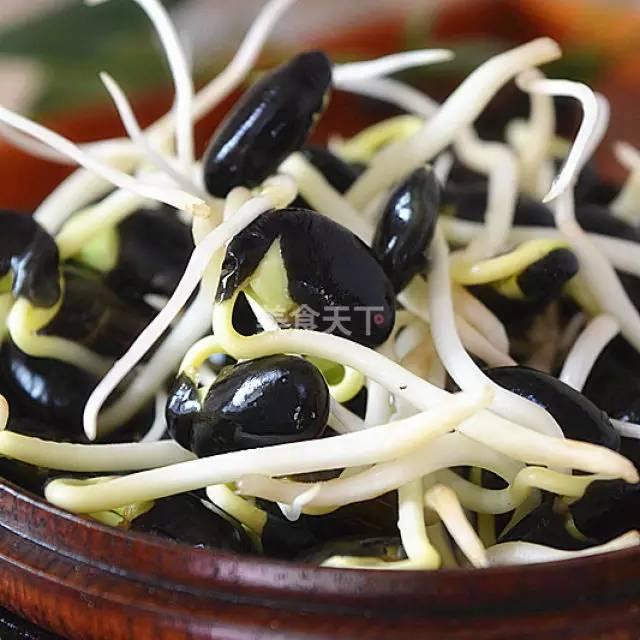 蔬菜菜谱大全家常菜教程，菜谱合集春来到