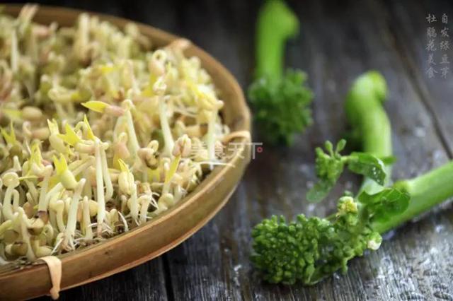 蔬菜菜谱大全家常菜教程，菜谱合集春来到