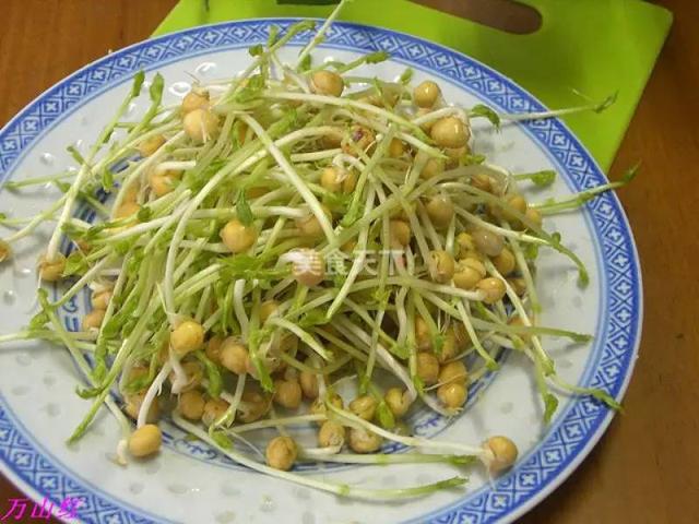 蔬菜菜谱大全家常菜教程，菜谱合集春来到