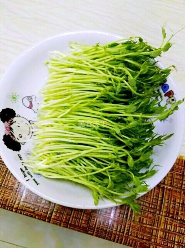 蔬菜菜谱大全家常菜教程，菜谱合集春来到