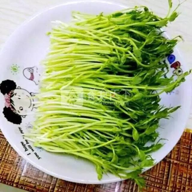 蔬菜菜谱大全家常菜教程，菜谱合集春来到