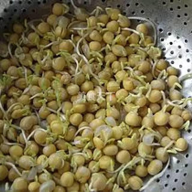 蔬菜菜谱大全家常菜教程，菜谱合集春来到