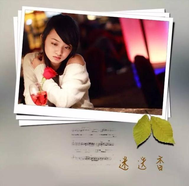 狭叶迷迭香和迷迭香有什么不一样，本草解读之迷迭香