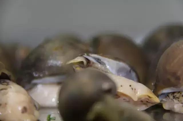 假鲍鱼的家常做法，假鲍鱼的做法有哪些（10分钟做出以假乱真“鲍鱼”）