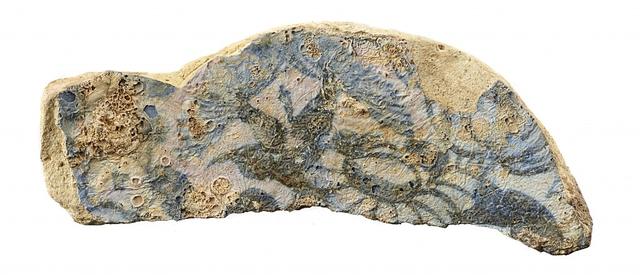 欧美666，灾难数字