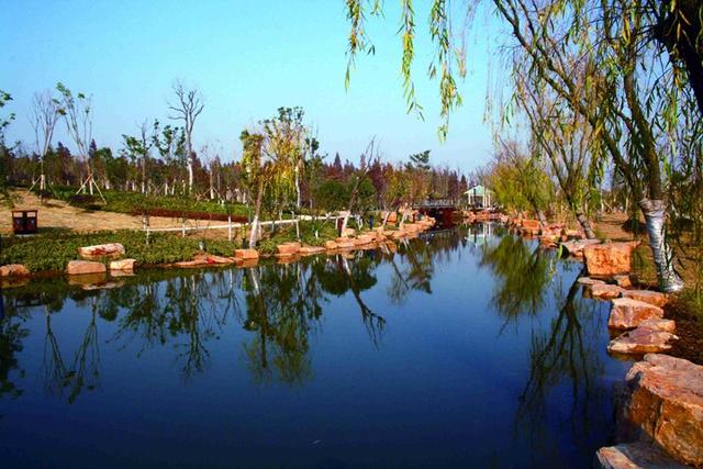 天长市苏宁老总张近东，中小城市综合实力百强县