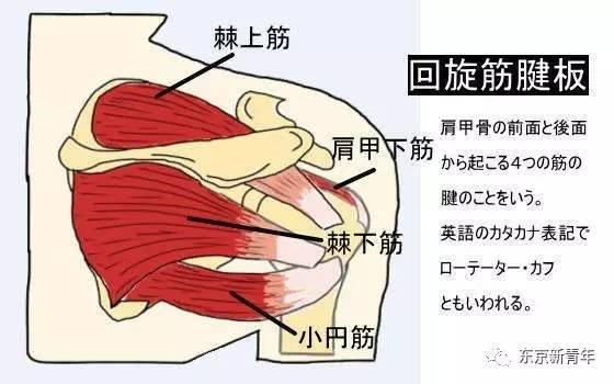 暖宝宝正确贴法图解，暖宝宝贴使用步骤（暖宝宝能持续发热几小时）