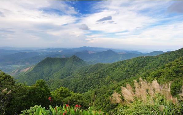 佛山有什么地方好玩的景点，佛山十大旅游景点你去过几个