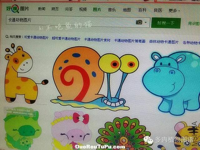 多肉造型创意土配方，10款多肉配土方案