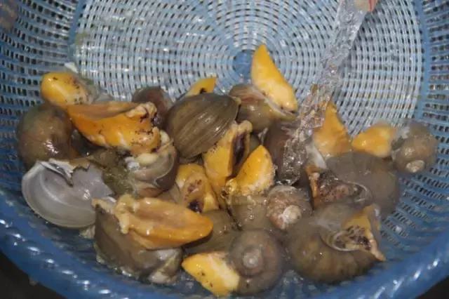 假鲍鱼的家常做法，假鲍鱼的做法有哪些（10分钟做出以假乱真“鲍鱼”）
