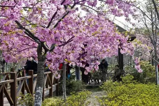 巧克力开心乐园，上海欢乐谷全日票能玩什么（探索世博园各场馆华丽变身）