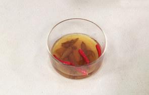 无骨鸡爪泡椒凤爪的做法，精选美味无骨泡椒凤爪的做法