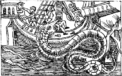 海洋究竟有没有海怪，海洋传说中你所不知道的海怪