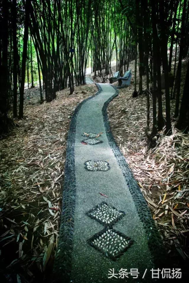 中山必去的十大景点，广东中山最值得去的五大景点