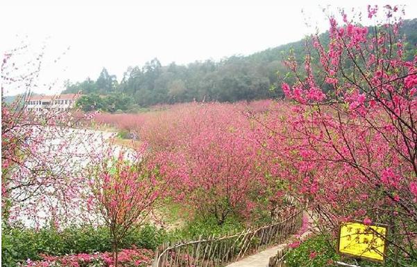 佛山有什么地方好玩的景点，佛山十大旅游景点你去过几个