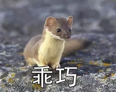 最帅气的怪兽名字叫什么，奥特曼中这几只怪兽帅到掉渣
