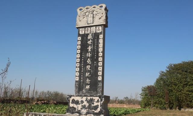 山东的鲁西黄牛，鲁西黄牛美名扬