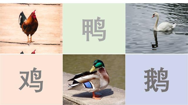 ppt图文对齐教程，都有好好对齐吗