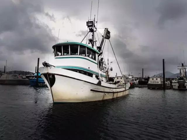 加拿大特产海参品种，秋冬美食——海参的三两小事