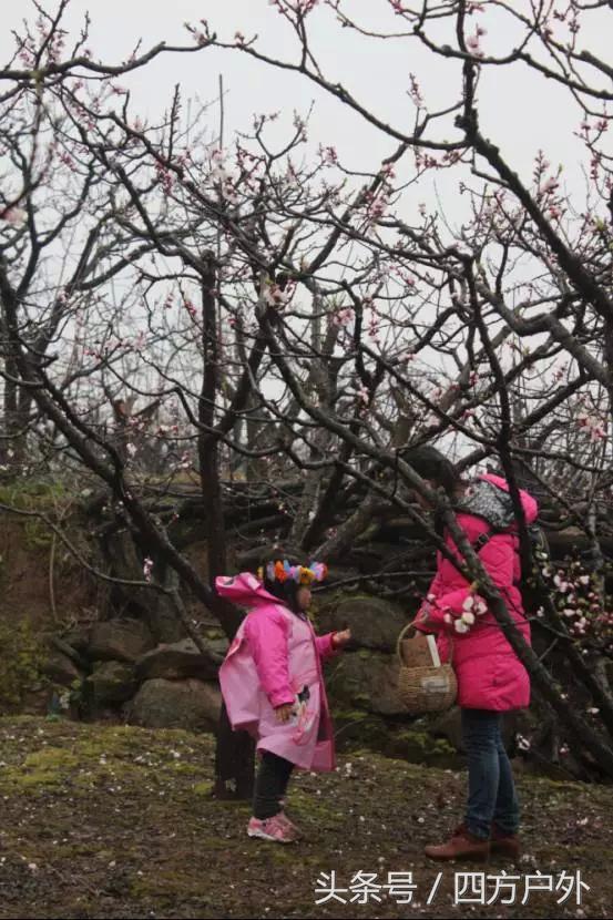 成都市去青城山旅游攻略路线图，成都到青城山后山徒步自助