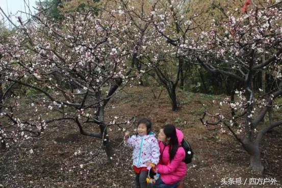 成都市去青城山旅游攻略路线图，成都到青城山后山徒步自助