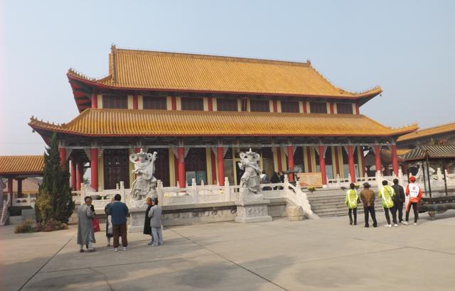 山东的鲁西黄牛，鲁西黄牛美名扬