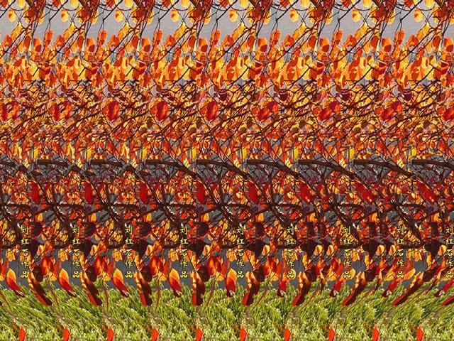 裸眼3d怎么看，裸眼3d与普通对比（裸眼3D地图，体验一下咯）