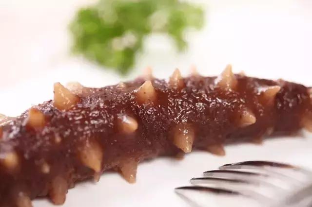 加拿大特产海参品种，秋冬美食——海参的三两小事