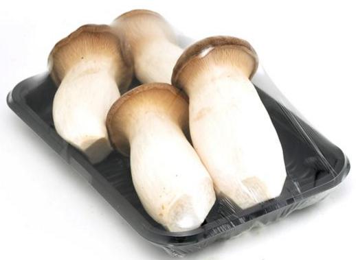 杏鲍菇糖尿病能吃吗(糖尿病能不能吃杏鲍菇)