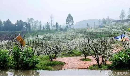 成都市去青城山旅游攻略路线图，成都到青城山后山徒步自助