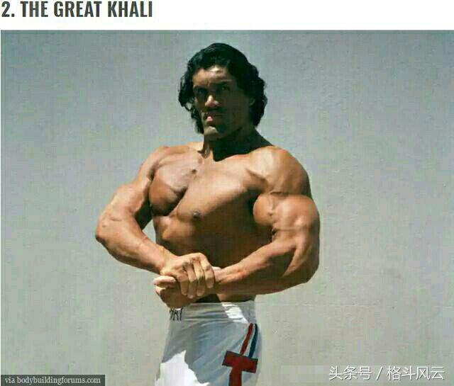 韦德巴雷特出场音乐，WWE选手曾经都做什么职业（wwe兰迪奥顿现实生活）