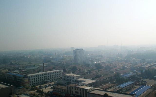 山东的鲁西黄牛，鲁西黄牛美名扬
