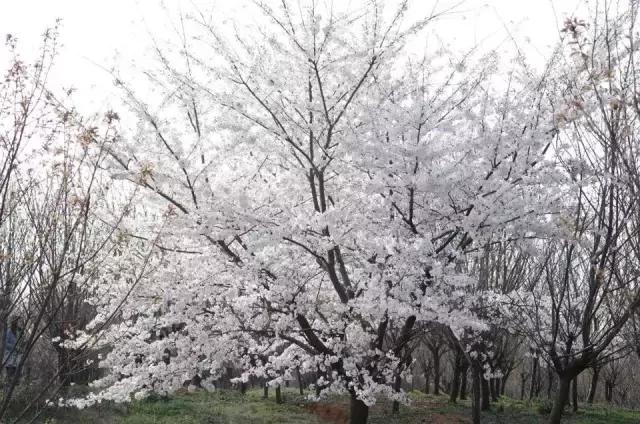 贵阳哪里适合情侣旅游，去贵阳郊外寻一处民俗村