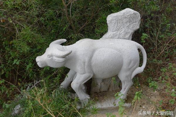 湄洲岛妈祖文化介绍，中华妈祖文化信仰对台、两岸及区域发展影响