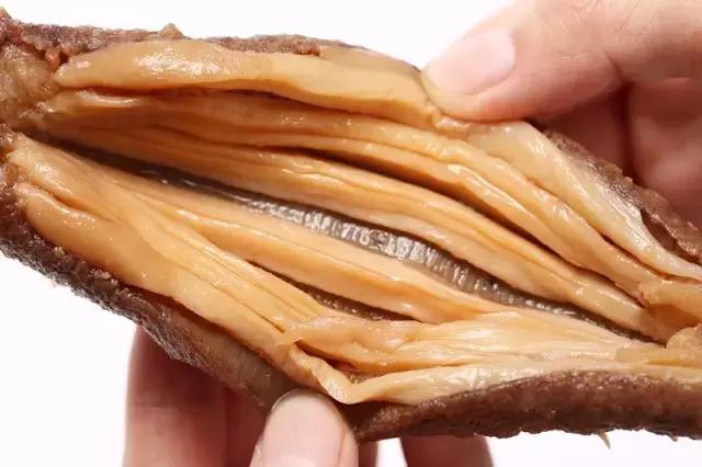 加拿大特产海参品种，秋冬美食——海参的三两小事